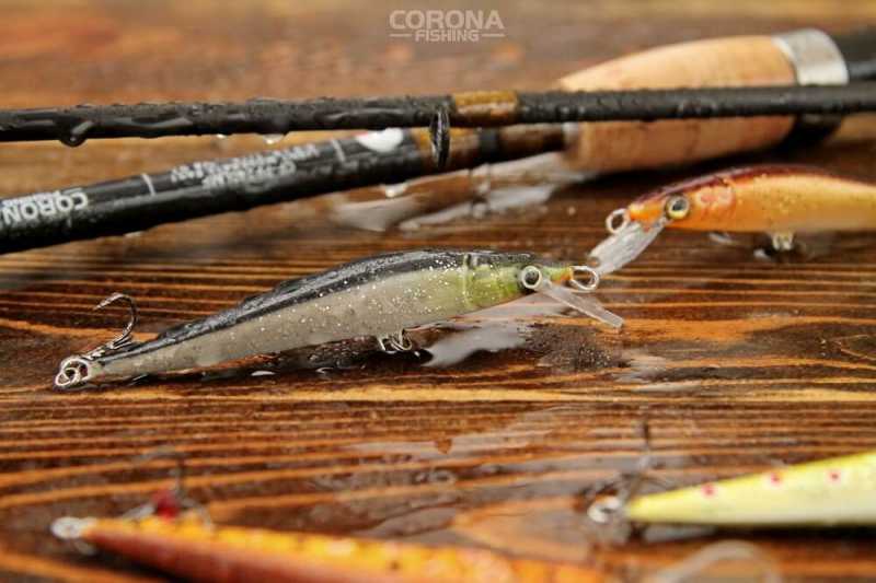 woblery do twitchingu pstrąg